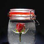 rose, red, jar, freeze, flower background, rose blooms, rose flower, flower wallpaper, rose red, nature, red rose, flower, blossom, bloom, water, plant, beautiful flowers, close up, rubber, keep fresh